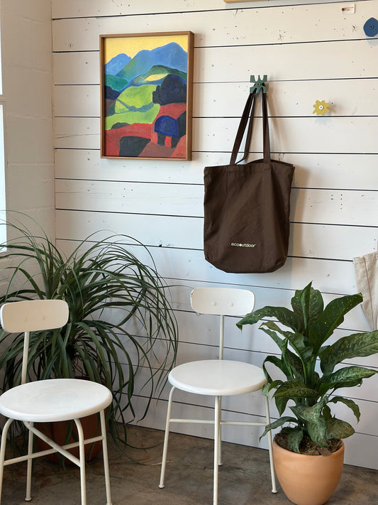 Beaucarnea Recurvata Ponytail Palm| Potted