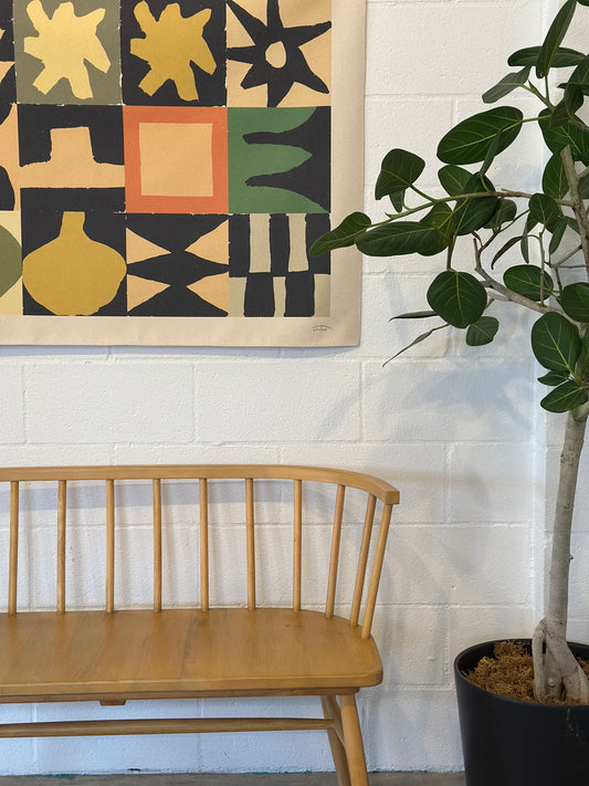 Ficus Audrey T | Potted