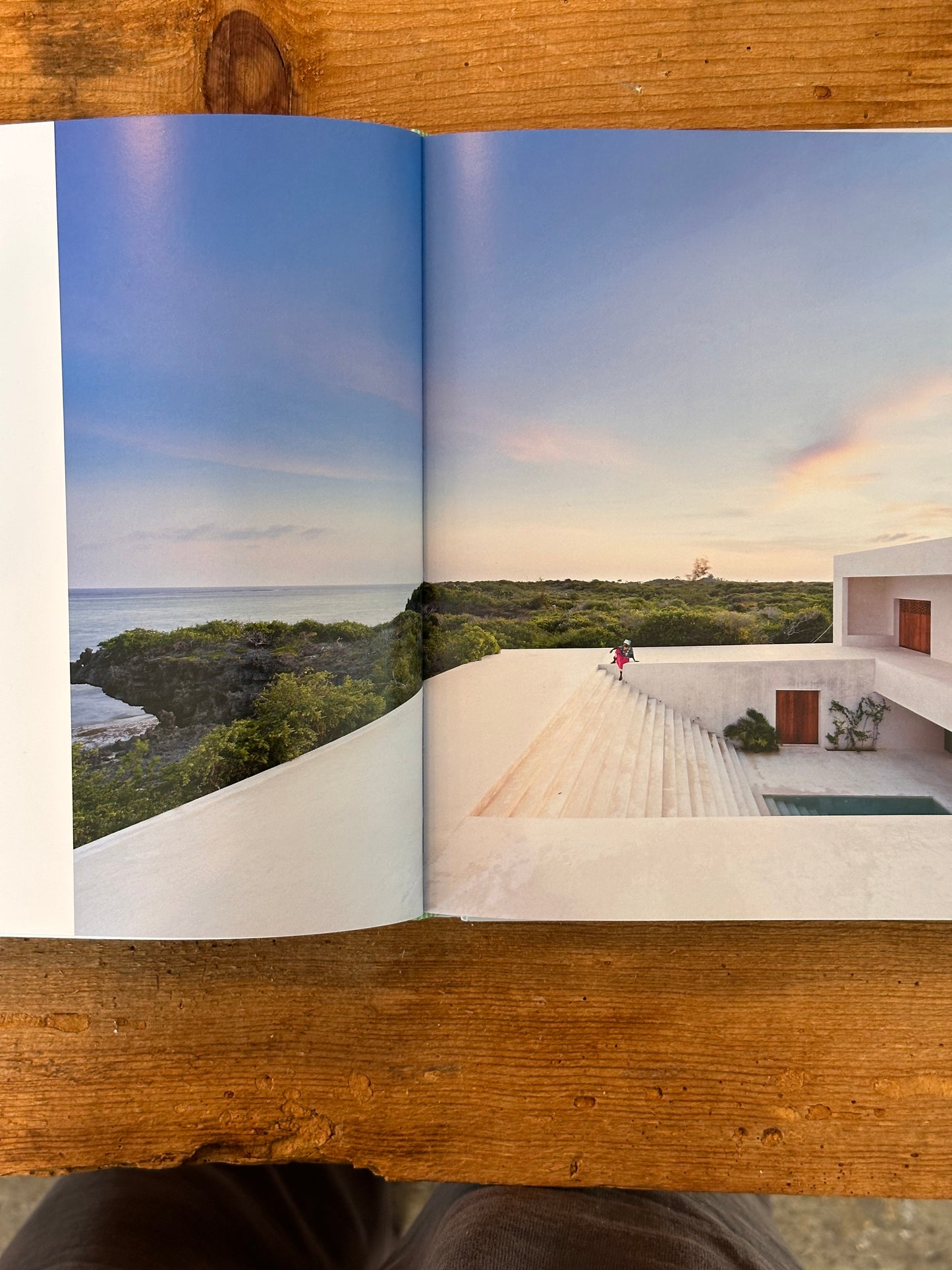 Modern Tropical - Rizzoli New York