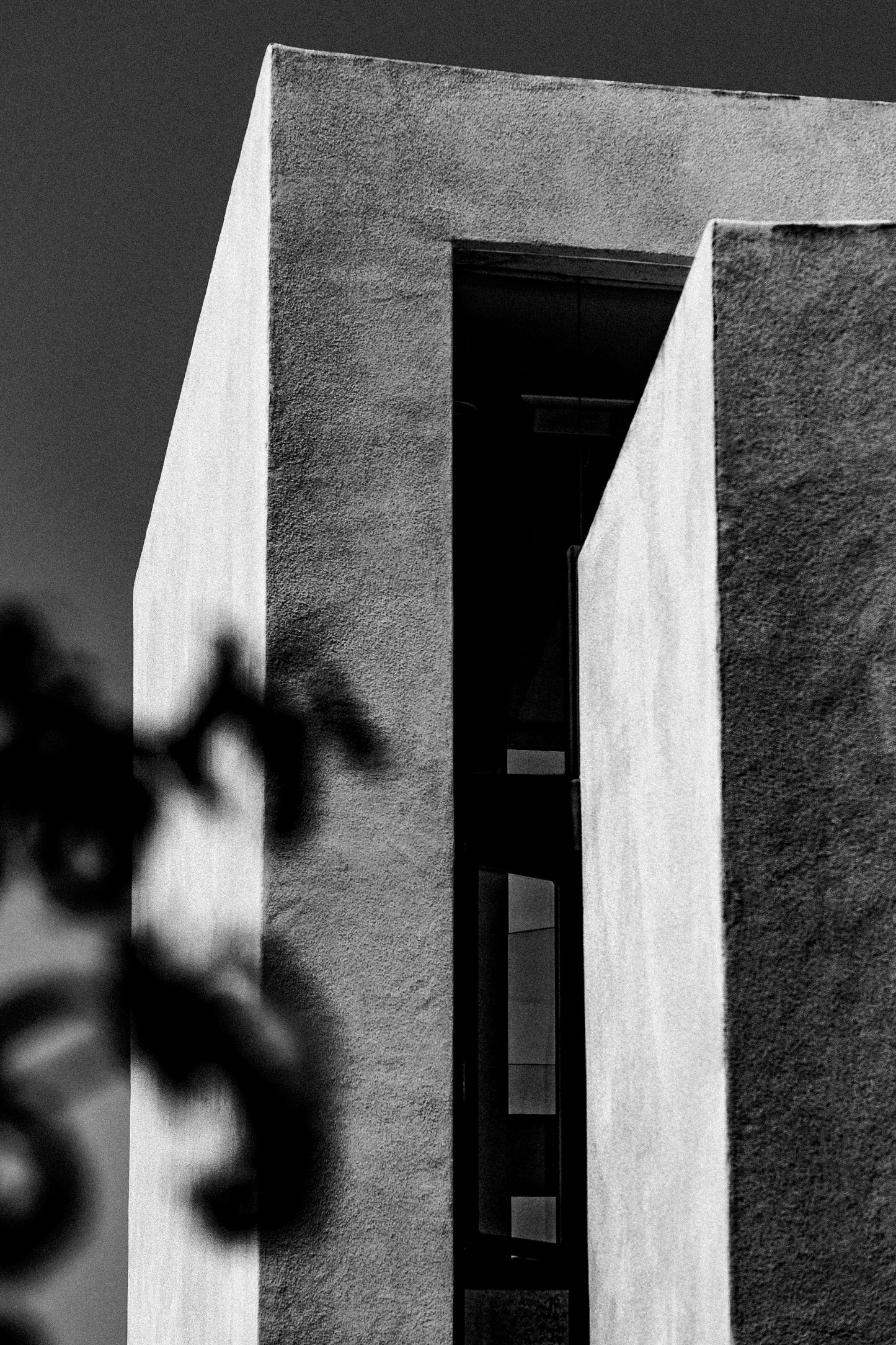 Ponte View - Collection Print Bundle 5