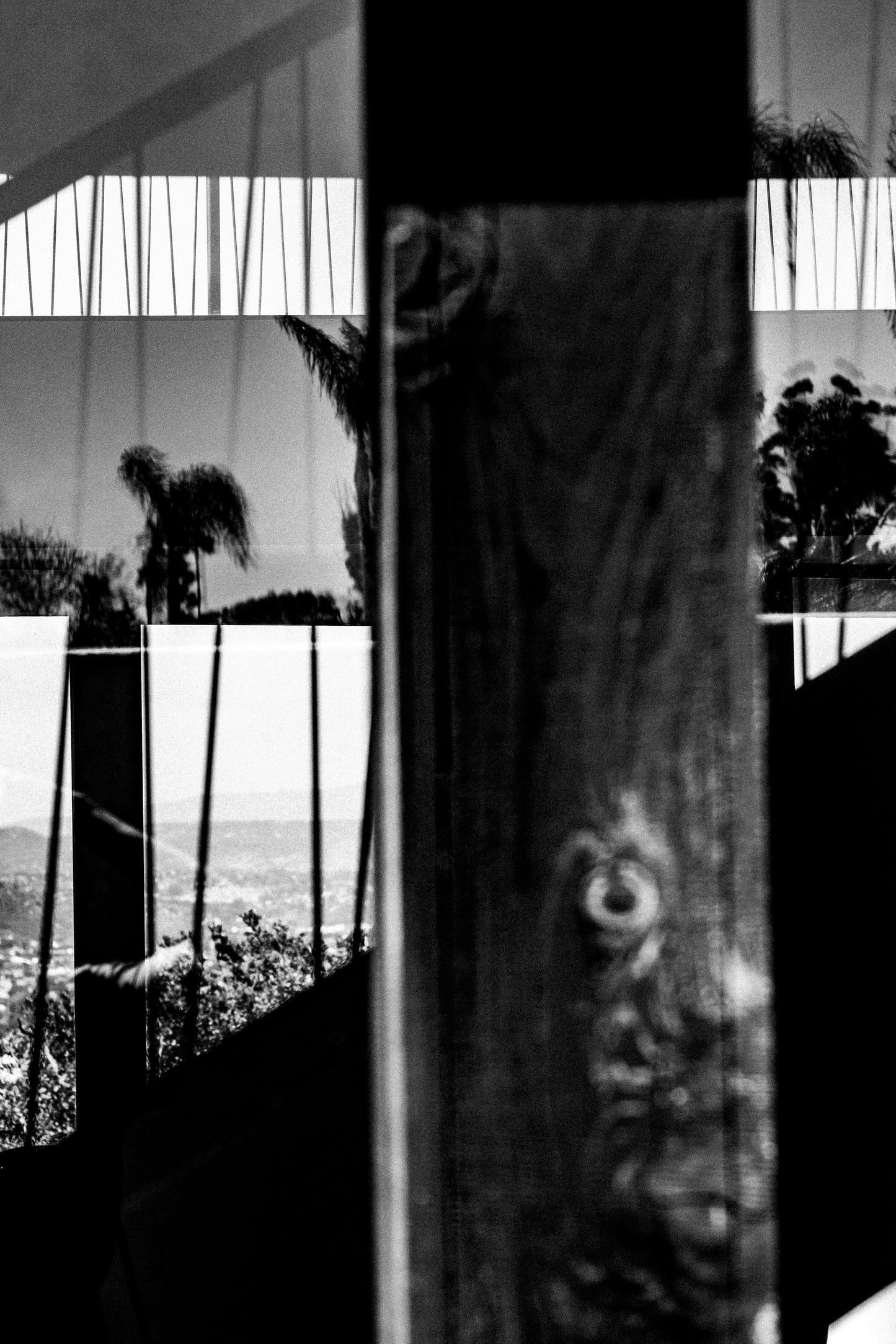 Ponte View - Collection Print Bundle 5
