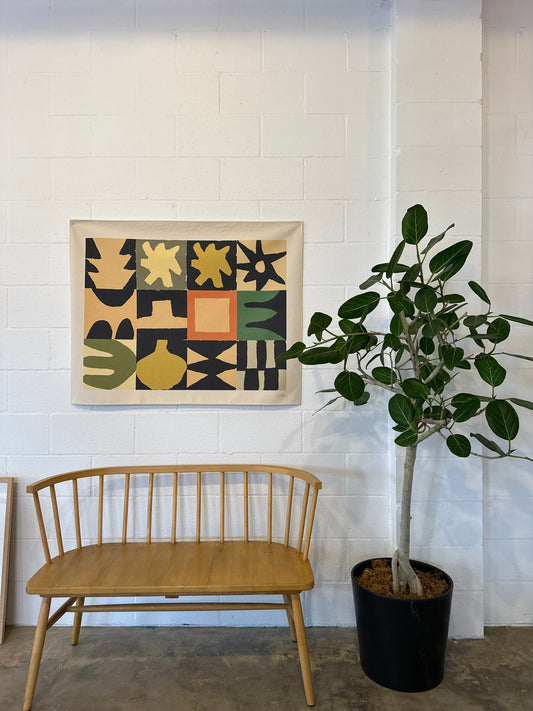 Ficus Audrey T | Potted