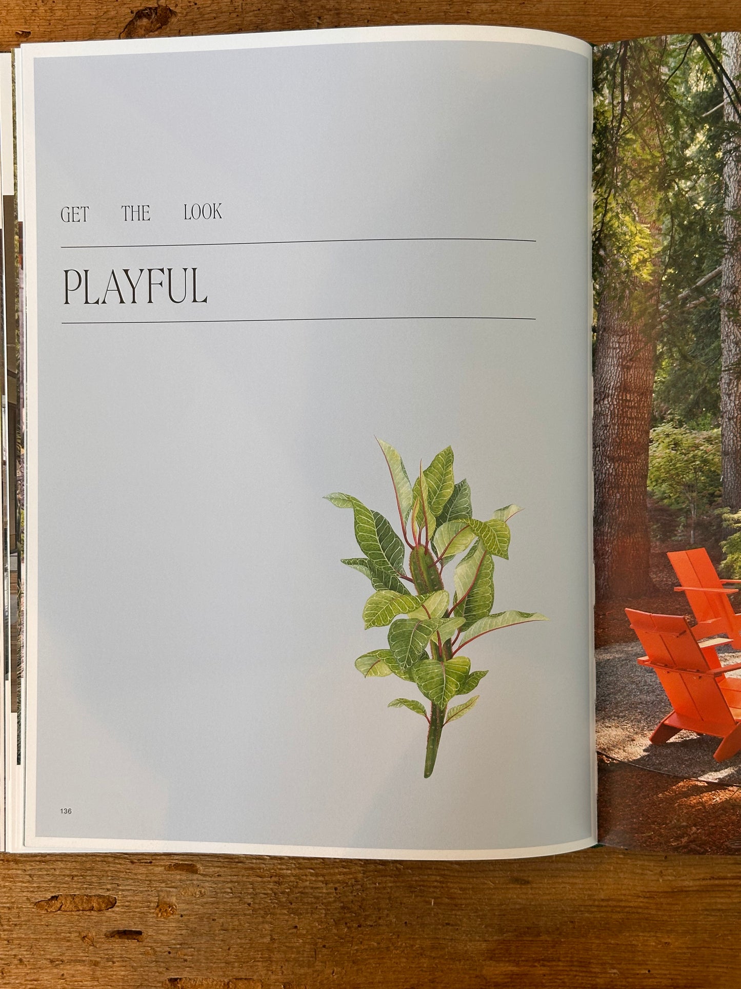Outdoor Interiors