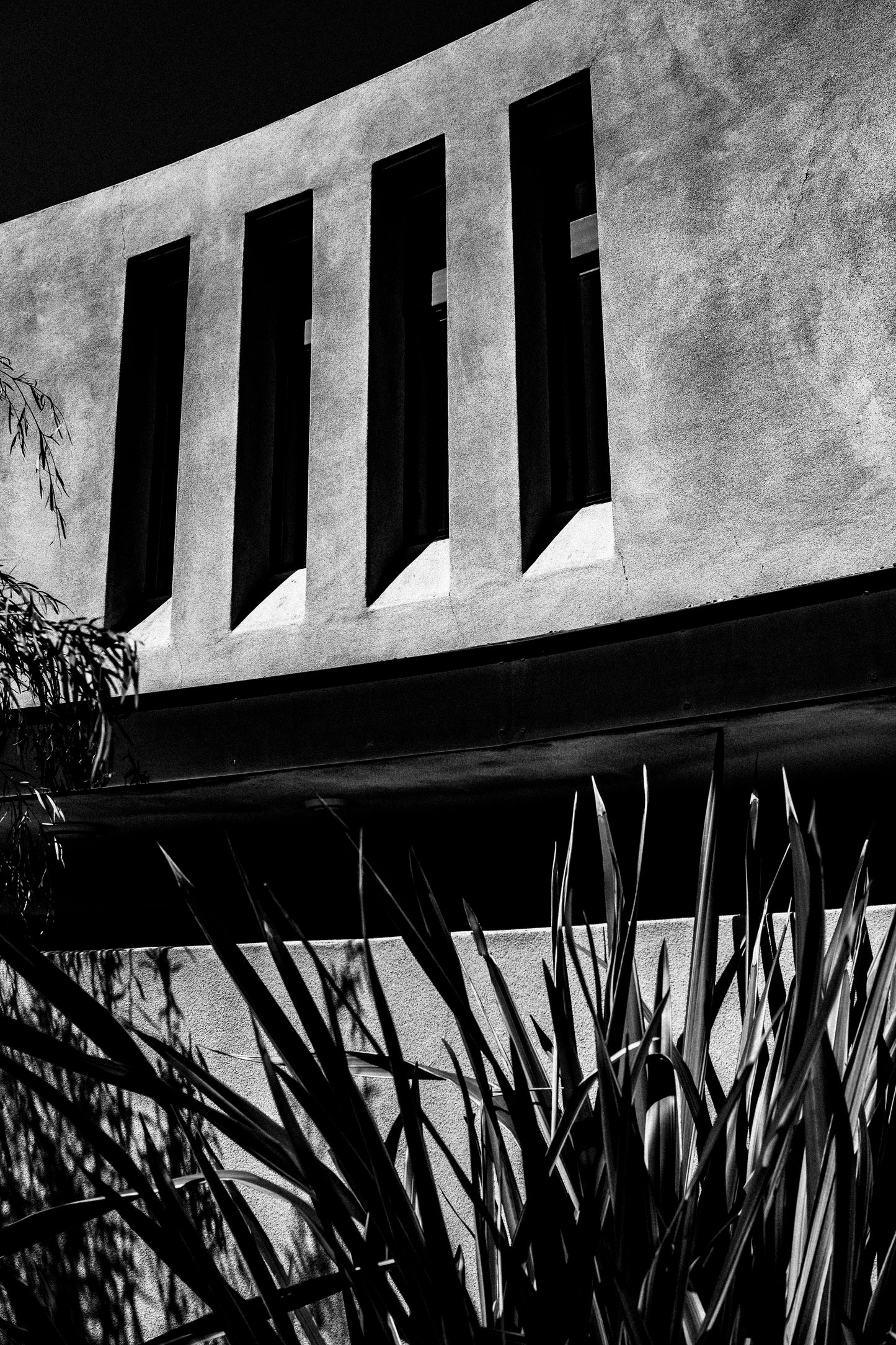 Ponte View - Collection Print Bundle 5